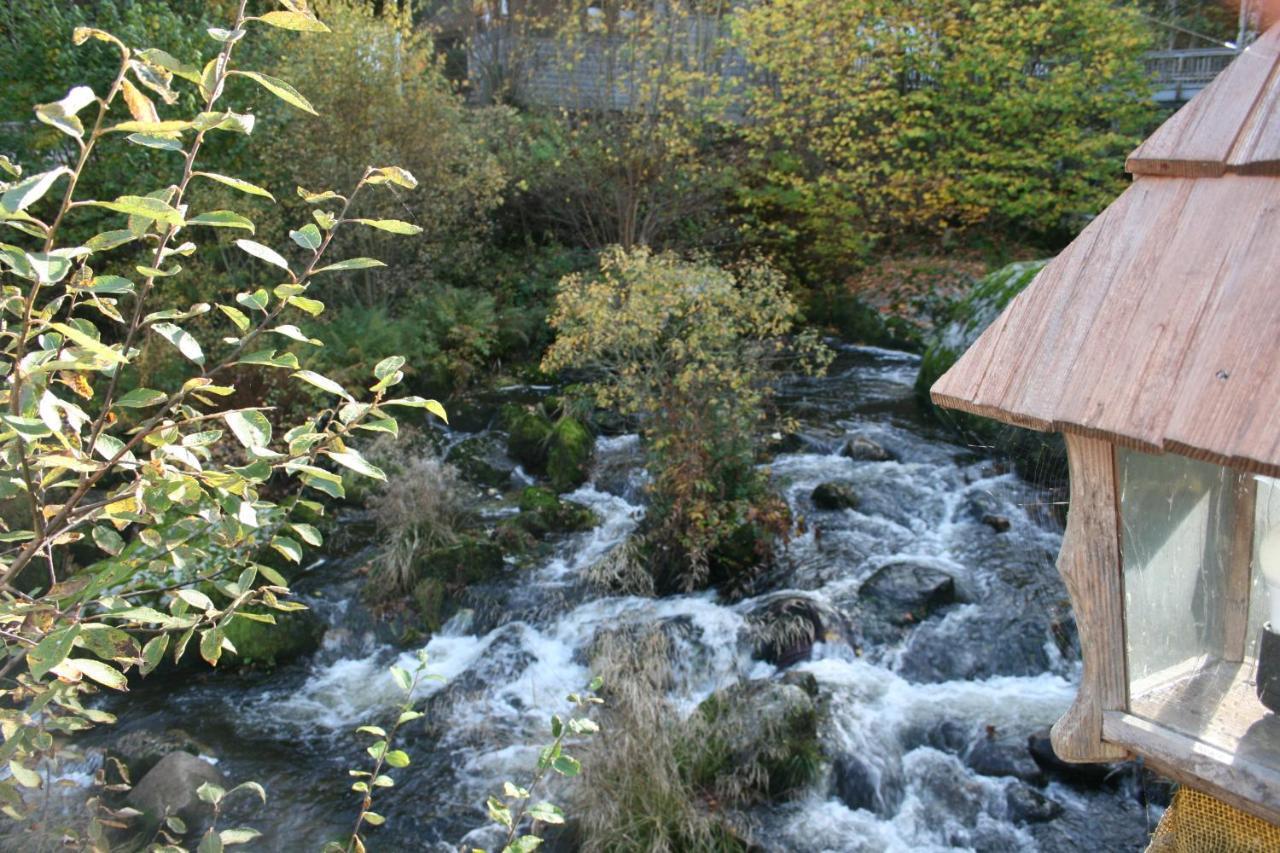 Hotel Gästehaus Zur Lilie Triberg im Schwarzwald Exterior foto